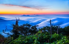 베스트갤러리 - 운해 바다