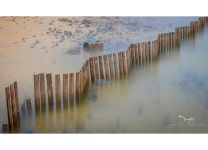 베스트갤러리 - 바닷가의 추억 #3