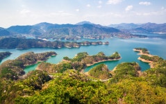 베스트갤러리 - 충주호 악어섬