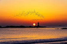 베스트갤러리 - 일출