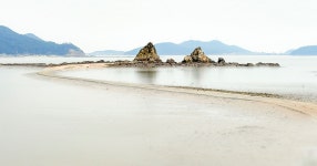 베스트갤러리 - 통개항