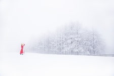 베스트갤러리 - 양떼목장