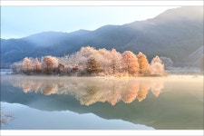 베스트갤러리 - 꿈속에라도