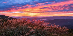 베스트갤러리 - 무등산에서...