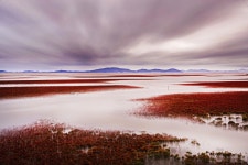 베스트갤러리 - 영광 해변에서