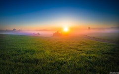 베스트갤러리 - 안성목장