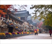 베스트갤러리 - 불국사의 가을