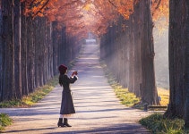 베스트갤러리 - 메타길 따라