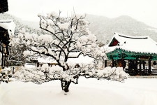베스트갤러리 - 내소사