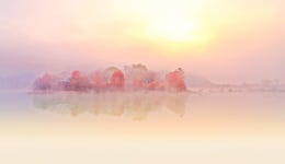 베스트갤러리 - 가을愛