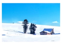 베스트갤러리 - 북해도 겨울