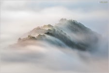 베스트갤러리 - 수묵화