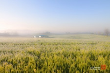 베스트갤러리 - 보리밭