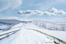 베스트갤러리 - 양떼목장설경좋은날