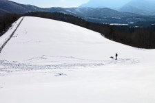 베스트갤러리 - 대관령 목장