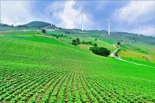 베스트갤러리 - 바람에언덕...