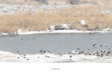 베스트갤러리 - 강변풍경