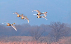 베스트갤러리 - 경안천 소식