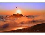 베스트갤러리 - 동해바다