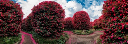 베스트갤러리 - 동백수목원