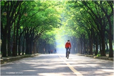 베스트갤러리 - 가로수길