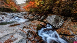 베스트갤러리 - 뱀사골에서