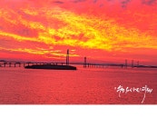 베스트갤러리 - 천사대교의 아침