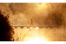 베스트갤러리 - 황강