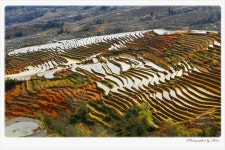 베스트갤러리 - 하니족 민속마을