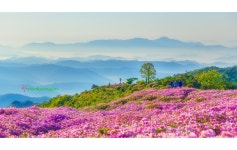 베스트갤러리 - 황매산 산여울