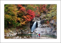 베스트갤러리 - 용소폭포 가을