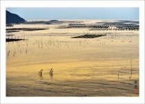 베스트갤러리 - 푸첸성 샤프 북구의 아침