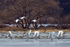 베스트갤러리 - 경안천 소식