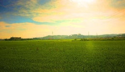 베스트갤러리 - 녹색의 풍요