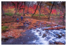 베스트갤러리 - 도솔천의가을