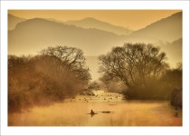 베스트갤러리 - 김해 화포천 여명