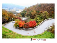 베스트갤러리 - 액스라인길