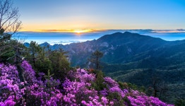 베스트갤러리 - 아름다운 우리강산