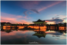 베스트갤러리 - 경주 동궁과 월지(8/14)