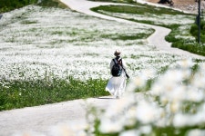 베스트갤러리 - 꽃길만 걷게 해줄께