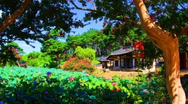 베스트갤러리 - 종오정.