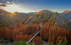 베스트갤러리 - 장태산