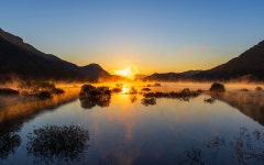 베스트갤러리 - 생태 공원