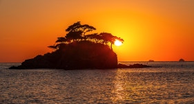 베스트갤러리 - 솔섬 해 품 소낭구...