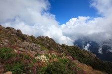 베스트갤러리 - 지리산 천왕봉, 천상의 화원