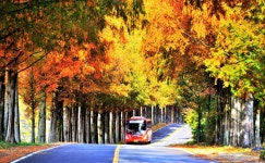 베스트갤러리 - 모래재 길