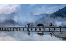 베스트갤러리 - 일터로 가는 길