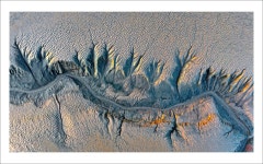 베스트갤러리 - 갯벌에 빛