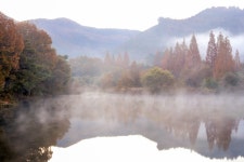 베스트갤러리 - 물안개 핀 오봉제