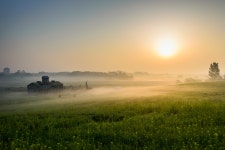 베스트갤러리 - 안성 목장